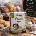 LEVURE CHIMIQUE 100G SANS GLUTEN REGINAT