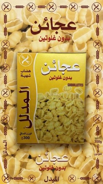 PATES COQUILLETTES 300G HIDHAB